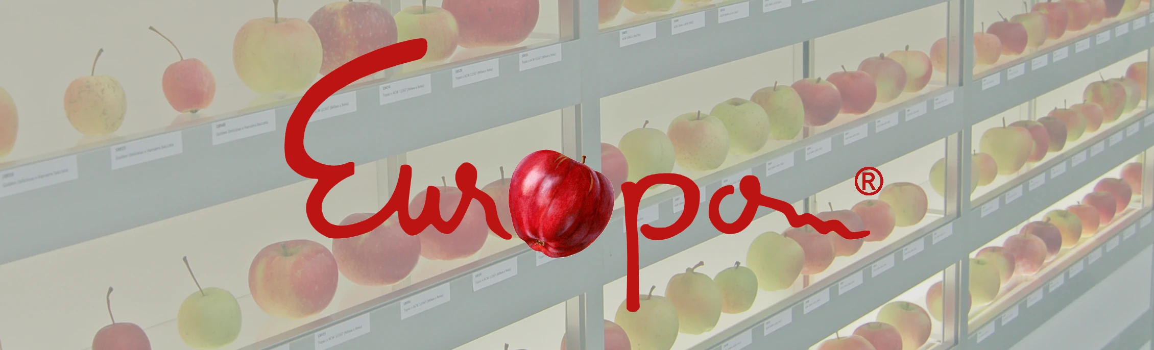 Europom 2024 header